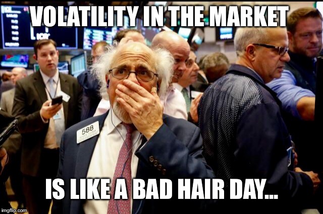 Stock Market Volatility  | VOLATILITY IN THE MARKET; IS LIKE A BAD HAIR DAY... | image tagged in stock market | made w/ Imgflip meme maker