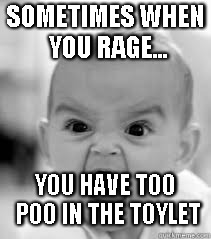 when you gotta rage | SOMETIMES WHEN YOU RAGE... YOU HAVE TOO POO IN THE TOYLET | image tagged in rage,toylet | made w/ Imgflip meme maker