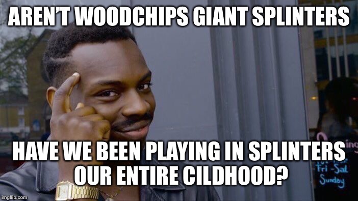Roll Safe Think About It Meme | AREN’T WOODCHIPS GIANT SPLINTERS; HAVE WE BEEN PLAYING IN SPLINTERS OUR ENTIRE CILDHOOD? | image tagged in memes,roll safe think about it | made w/ Imgflip meme maker