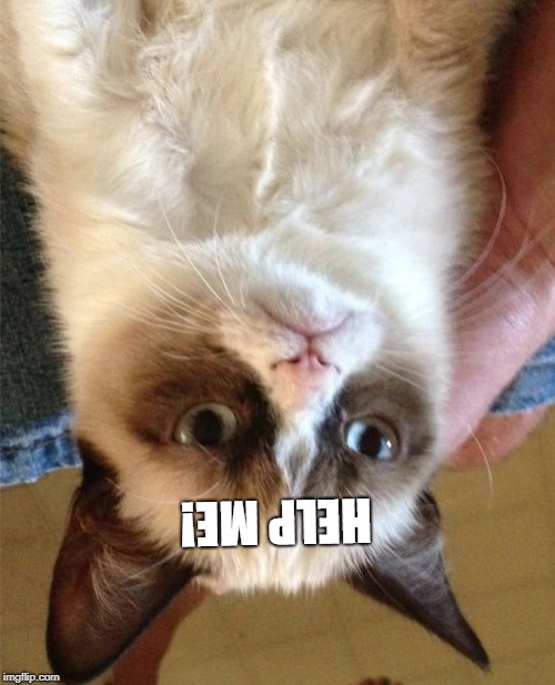 Grumpy Cat | HELP ME! | image tagged in memes,grumpy cat | made w/ Imgflip meme maker