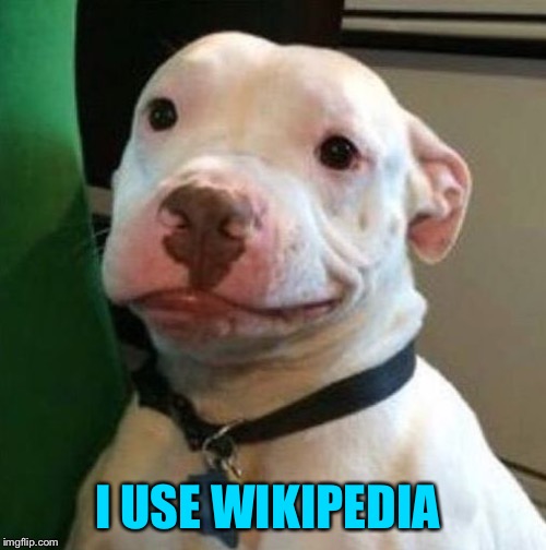 Awkward Dog | I USE WIKIPEDIA | image tagged in awkward dog | made w/ Imgflip meme maker