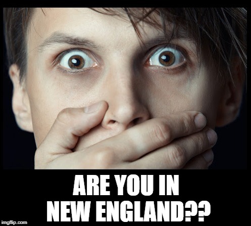 oh my | ARE YOU IN NEW ENGLAND?? | image tagged in oh my | made w/ Imgflip meme maker