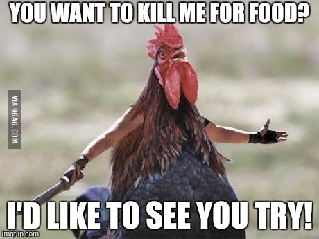 Chicken | YOU WANT TO KILL ME FOR FOOD? I'D LIKE TO SEE YOU TRY! | image tagged in chicken | made w/ Imgflip meme maker