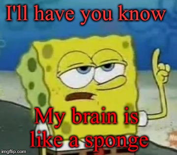 What was I saying? | I'll have you know; My brain is like a sponge | image tagged in spongebob,brain,memes,funny | made w/ Imgflip meme maker
