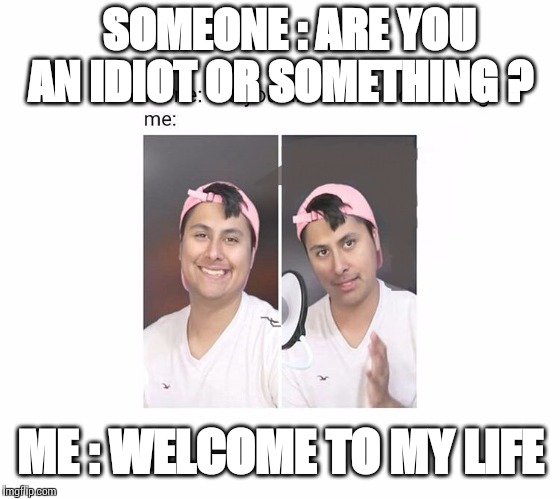 My life | SOMEONE : ARE YOU AN IDIOT OR SOMETHING ? ME : WELCOME TO MY LIFE | image tagged in humor,stupid humor,my life | made w/ Imgflip meme maker