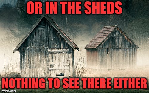 OR IN THE SHEDS NOTHING TO SEE THERE EITHER | made w/ Imgflip meme maker