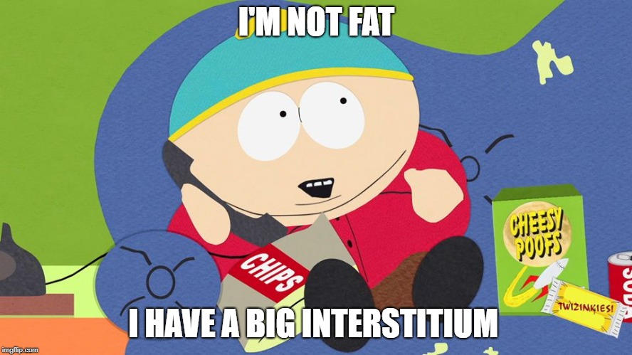 Cartman has a big Interstitium | I'M NOT FAT; I HAVE A BIG INTERSTITIUM | image tagged in eric cartman,cartman,fat | made w/ Imgflip meme maker