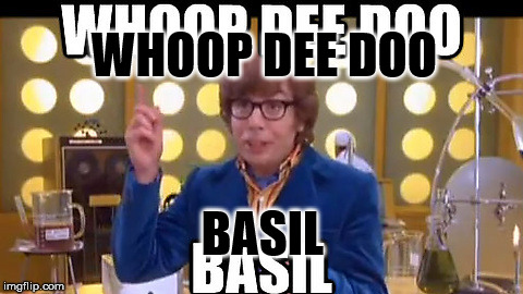 Whoopie doo | WHOOP DEE DOO; BASIL | image tagged in whoopie doo | made w/ Imgflip meme maker