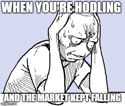 stressed meme | WHEN YOU'RE HODLING; AND THE MARKET KEPT FALLING | image tagged in stressed meme | made w/ Imgflip meme maker