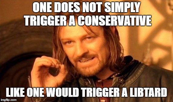 One Does Not Simply Meme | ONE DOES NOT SIMPLY TRIGGER A CONSERVATIVE LIKE ONE WOULD TRIGGER A LIBTARD | image tagged in memes,one does not simply | made w/ Imgflip meme maker