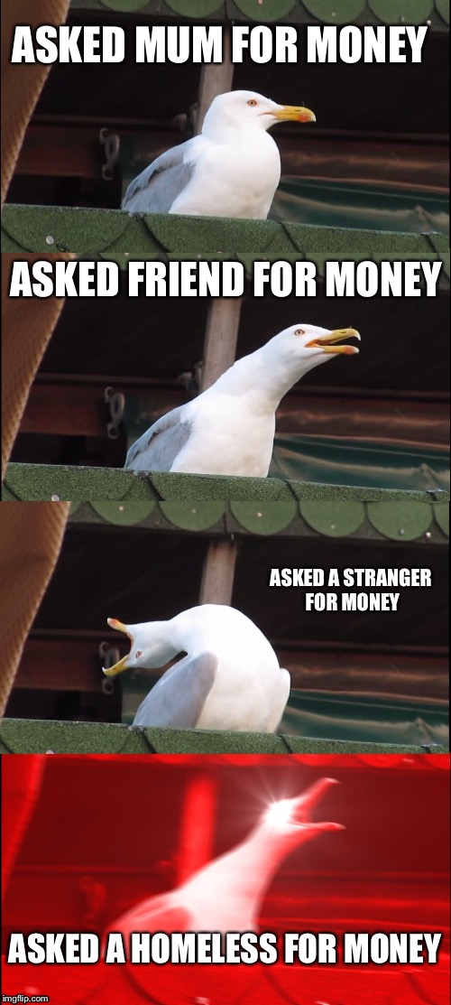 Inhaling Seagull Meme | ASKED MUM FOR MONEY; ASKED FRIEND FOR MONEY; ASKED A STRANGER FOR MONEY; ASKED A HOMELESS FOR MONEY | image tagged in memes,inhaling seagull | made w/ Imgflip meme maker