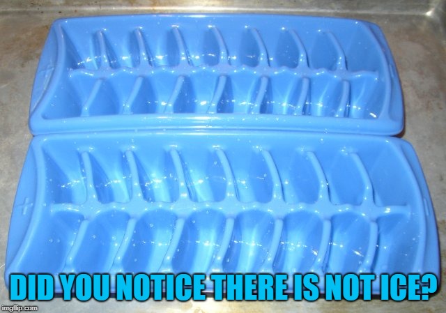 Not Ice | DID YOU NOTICE THERE IS NOT ICE? | image tagged in ice,notice,not ice,pun | made w/ Imgflip meme maker