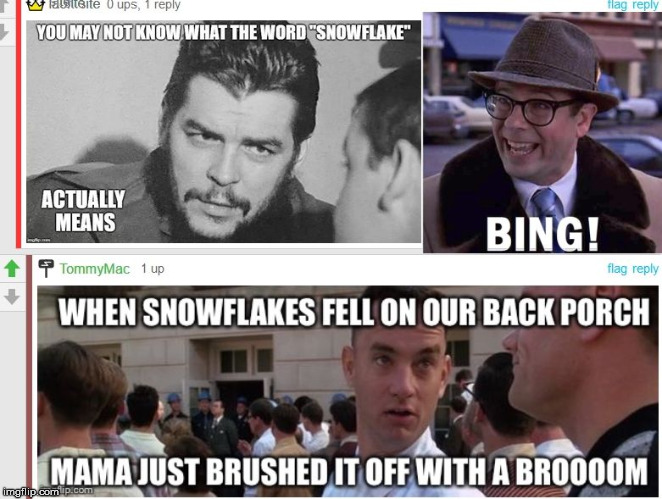 Snowflakes? | image tagged in mama chased off with a broom,forrest gump memes,mama chased off the snowballs too | made w/ Imgflip meme maker