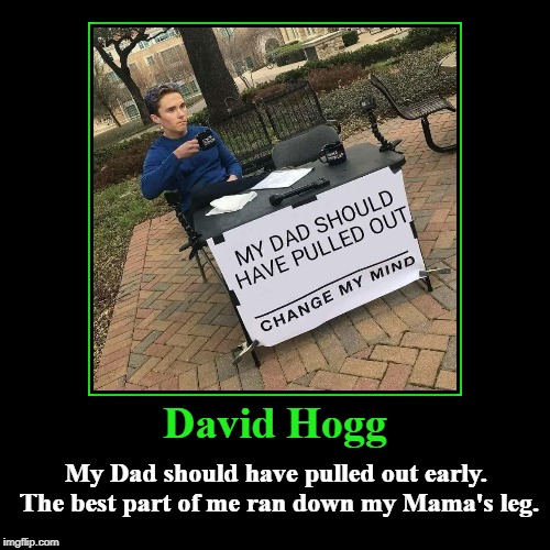 David Hogg: My Dad should have pulled out early | David Hogg | My Dad should have pulled out early. The best part of me ran down my Mama's leg. | image tagged in funny,demotivationals,david hogg,retroactive abortion | made w/ Imgflip demotivational maker