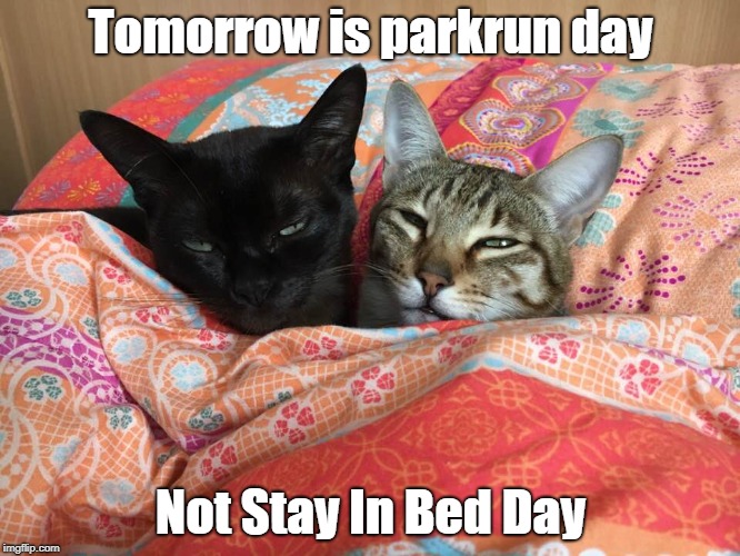 Sleepy Cats | Tomorrow is parkrun day; Not Stay In Bed Day | image tagged in parkrun,cats | made w/ Imgflip meme maker