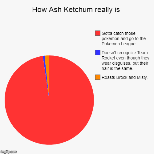 How Ash Ketchum really is | Roasts Brock and Misty., Doesn't recognize Team Rocket even though they wear disguises, but their hair is the sa | image tagged in funny,pie charts | made w/ Imgflip chart maker