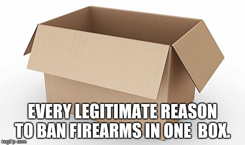 Empty Cardboard Box | EVERY LEGITIMATE REASON TO BAN FIREARMS IN ONE  BOX. | image tagged in empty cardboard box | made w/ Imgflip meme maker