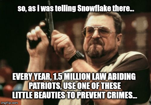 Guns Stop crimes and save lives | so, as i was telling Snowflake there... EVERY YEAR, 1.5 MILLION LAW ABIDING PATRIOTS, USE ONE OF THESE LITTLE BEAUTIES TO PREVENT CRIMES... | image tagged in memes,gun control,trump,snowflake | made w/ Imgflip meme maker