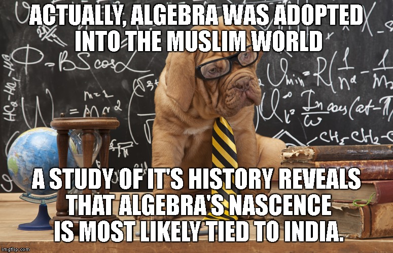 ACTUALLY, ALGEBRA WAS ADOPTED INTO THE MUSLIM WORLD A STUDY OF IT'S HISTORY REVEALS THAT ALGEBRA'S NASCENCE IS MOST LIKELY TIED TO INDIA. | made w/ Imgflip meme maker