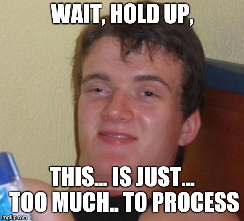 10 Guy Meme | WAIT, HOLD UP, THIS... IS JUST... TOO MUCH.. TO PROCESS | image tagged in memes,10 guy | made w/ Imgflip meme maker