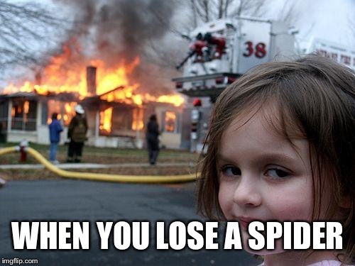 Disaster Girl Meme | WHEN YOU LOSE A SPIDER | image tagged in memes,disaster girl | made w/ Imgflip meme maker