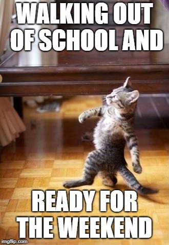 Cool Cat Stroll | WALKING OUT OF SCHOOL AND; READY FOR THE WEEKEND | image tagged in memes,cool cat stroll | made w/ Imgflip meme maker