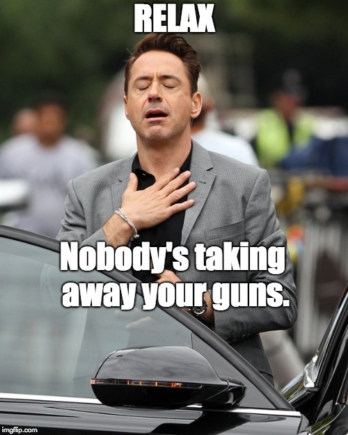 Tony Stark relax | RELAX; Nobody's taking away your guns. | image tagged in tony stark relax | made w/ Imgflip meme maker