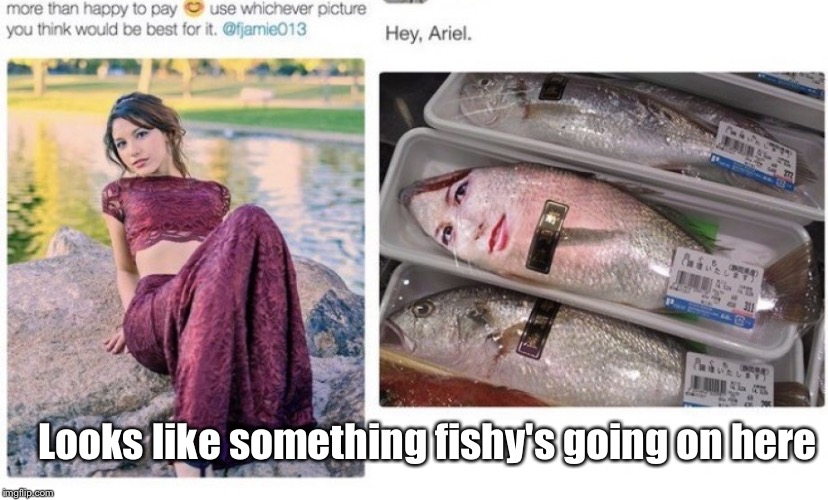 Damn, she got trolled so hard! | Looks like something fishy's going on here | image tagged in funny memes,troll,memes,photoshop,mermaid,fish | made w/ Imgflip meme maker