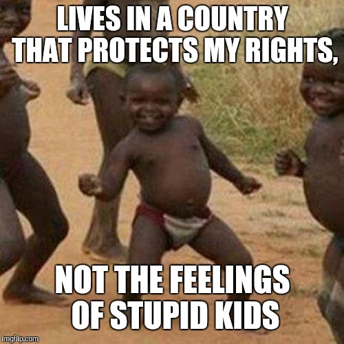 Third World Success Kid Meme | LIVES IN A COUNTRY THAT PROTECTS MY RIGHTS, NOT THE FEELINGS OF STUPID KIDS | image tagged in memes,third world success kid | made w/ Imgflip meme maker