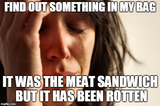First World Problems | FIND OUT SOMETHING IN MY BAG; IT WAS THE MEAT SANDWICH BUT IT HAS BEEN ROTTEN | image tagged in memes,first world problems | made w/ Imgflip meme maker