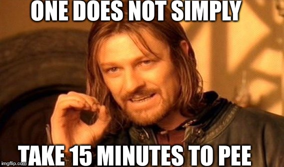 One Does Not Simply Meme | ONE DOES NOT SIMPLY; TAKE 15 MINUTES TO PEE | image tagged in memes,one does not simply | made w/ Imgflip meme maker