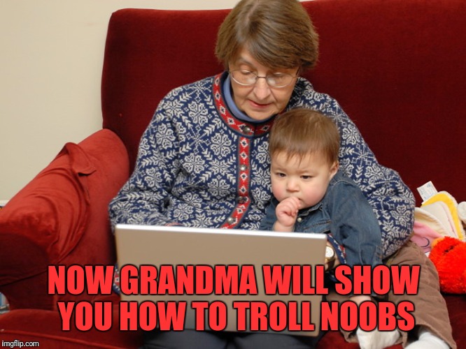 Baby's first internet | NOW GRANDMA WILL SHOW YOU HOW TO TROLL NOOBS | image tagged in baby's first internet | made w/ Imgflip meme maker