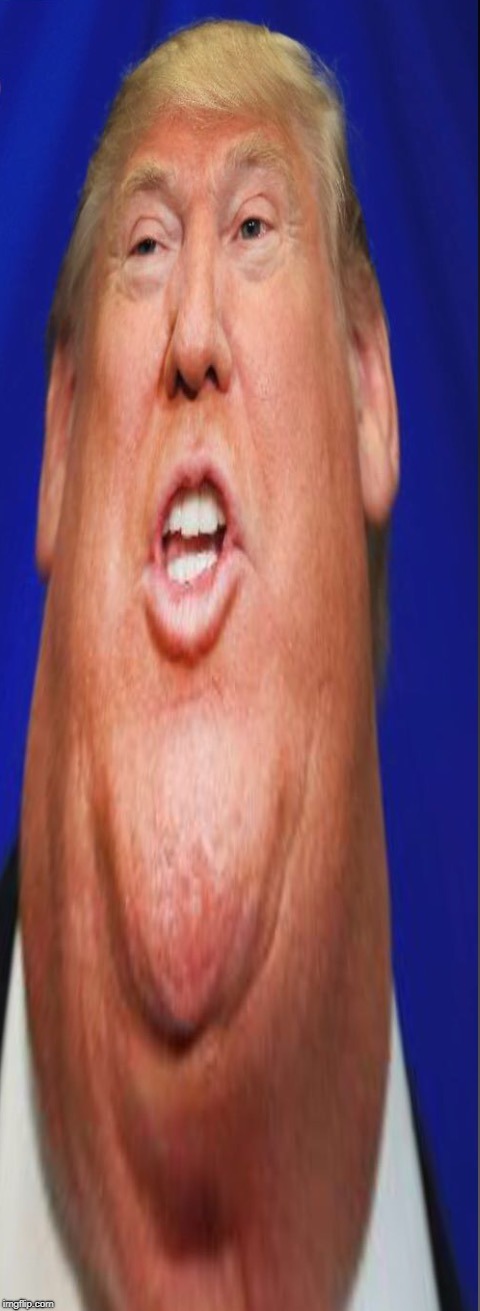Donnie ate too much McDonald's | image tagged in donnie ate too much mcdonald's | made w/ Imgflip meme maker