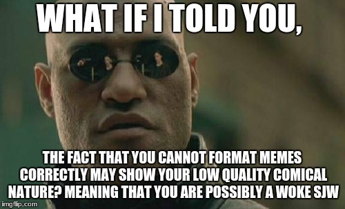 Matrix Morpheus Meme | WHAT IF I TOLD YOU, THE FACT THAT YOU CANNOT FORMAT MEMES CORRECTLY MAY SHOW YOUR LOW QUALITY COMICAL NATURE? MEANING THAT YOU ARE POSSIBLY  | image tagged in memes,matrix morpheus | made w/ Imgflip meme maker