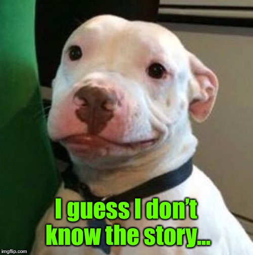 Awkward Dog | I guess I don’t know the story... | image tagged in awkward dog | made w/ Imgflip meme maker