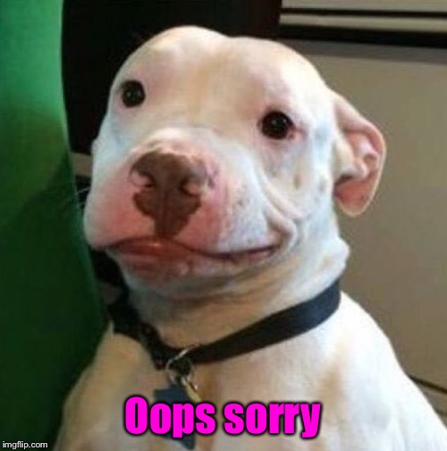 Awkward Dog | Oops sorry | image tagged in awkward dog | made w/ Imgflip meme maker