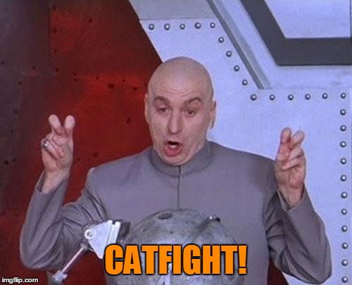 Dr Evil Laser Meme | CATFIGHT! | image tagged in memes,dr evil laser | made w/ Imgflip meme maker