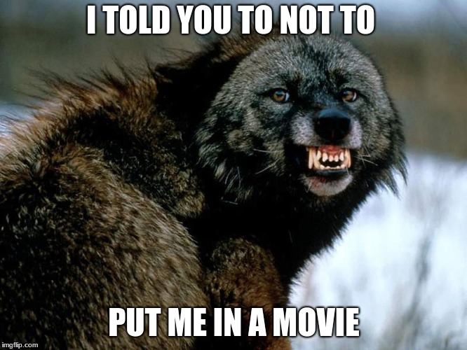 Angry Wolverine | I TOLD YOU TO NOT TO; PUT ME IN A MOVIE | image tagged in angry wolverine | made w/ Imgflip meme maker