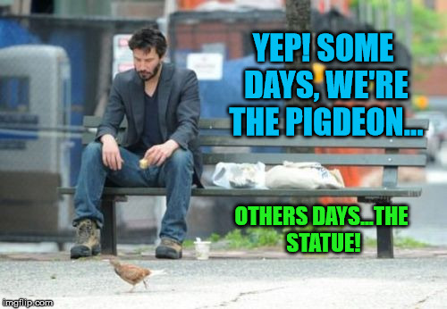 Sad Keanu | YEP! SOME DAYS, WE'RE THE PIGDEON... OTHERS DAYS...THE STATUE! | image tagged in memes,sad keanu | made w/ Imgflip meme maker