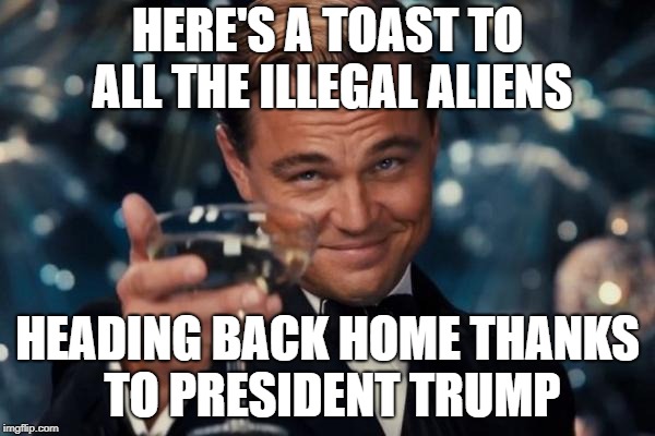 Leonardo Dicaprio Cheers Meme | HERE'S A TOAST TO ALL THE ILLEGAL ALIENS; HEADING BACK HOME THANKS TO PRESIDENT TRUMP | image tagged in memes,leonardo dicaprio cheers | made w/ Imgflip meme maker