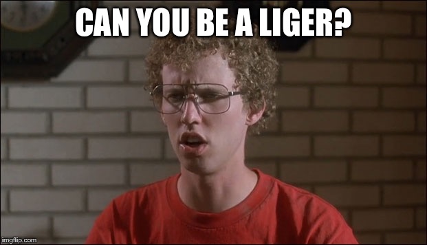 I need to draw you | CAN YOU BE A LIGER? | image tagged in napoleon dynamite,wont have to worry,anymore gosh,i will okay goshened darn it memes | made w/ Imgflip meme maker