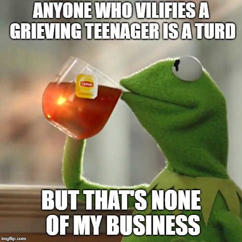 But That's None Of My Business Meme | ANYONE WHO VILIFIES A GRIEVING TEENAGER IS A TURD; BUT THAT'S NONE OF MY BUSINESS | image tagged in memes,but thats none of my business,kermit the frog | made w/ Imgflip meme maker
