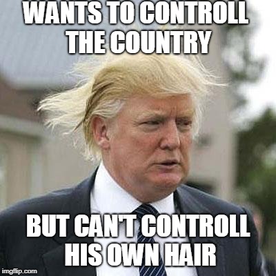 WANTS TO CONTROLL THE COUNTRY; BUT CAN'T CONTROLL HIS OWN HAIR | image tagged in donald trump | made w/ Imgflip meme maker