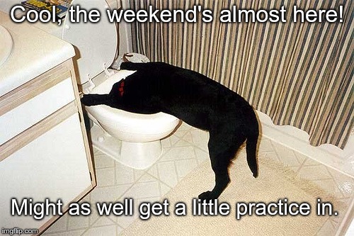 Dog with head in toilet | Cool, the weekend's almost here! Might as well get a little practice in. | image tagged in dog with head in toilet | made w/ Imgflip meme maker