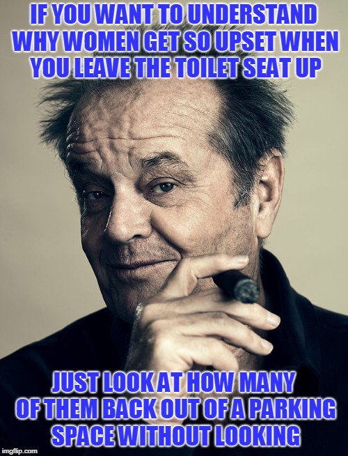 Look Before You Loo | IF YOU WANT TO UNDERSTAND WHY WOMEN GET SO UPSET WHEN YOU LEAVE THE TOILET SEAT UP; JUST LOOK AT HOW MANY OF THEM BACK OUT OF A PARKING SPACE WITHOUT LOOKING | image tagged in toilet seat up | made w/ Imgflip meme maker