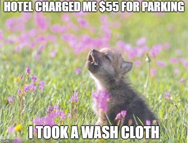Baby Insanity Wolf Meme Imgflip baby-insanity-wolf-meme-imgflip