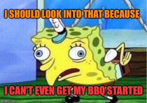 Mocking Spongebob Meme | I SHOULD LOOK INTO THAT BECAUSE I CAN'T EVEN GET MY BBQ STARTED | image tagged in memes,mocking spongebob | made w/ Imgflip meme maker