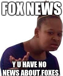 Fox News | FOX NEWS; Y U HAVE NO
 NEWS
ABOUT FOXES | image tagged in why you no | made w/ Imgflip meme maker