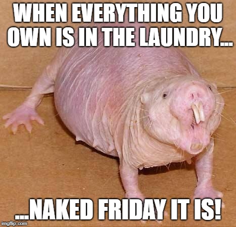 naked mole rat | WHEN EVERYTHING YOU OWN IS IN THE LAUNDRY... ...NAKED FRIDAY IT IS! | image tagged in naked mole rat | made w/ Imgflip meme maker