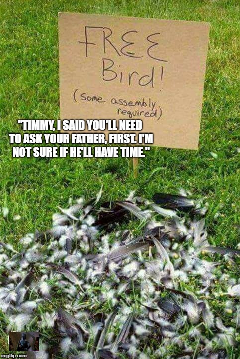 Pretty bird. Pretty bird. | "TIMMY, I SAID YOU'LL NEED TO ASK YOUR FATHER, FIRST. I'M NOT SURE IF HE'LL HAVE TIME." | image tagged in angry birds,twitter birds says,to kill a mockingbird,tweety bird | made w/ Imgflip meme maker